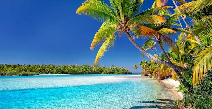 Eine schatten-spendende Palme am Strand