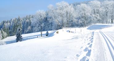 Bild von Bayerischer Wald Urlaub in den Winterferien