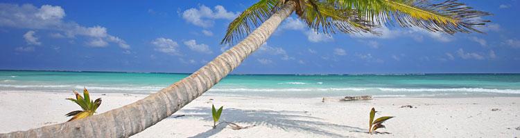 Traumurlaub am Strand der Dominikanische Republik