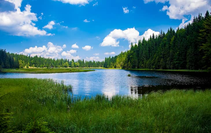 Alpsee in Deutschland